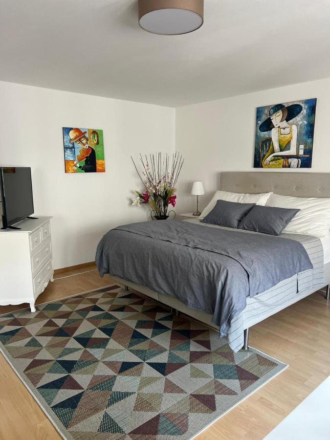 Schweiz Apartment Basel Exterior foto